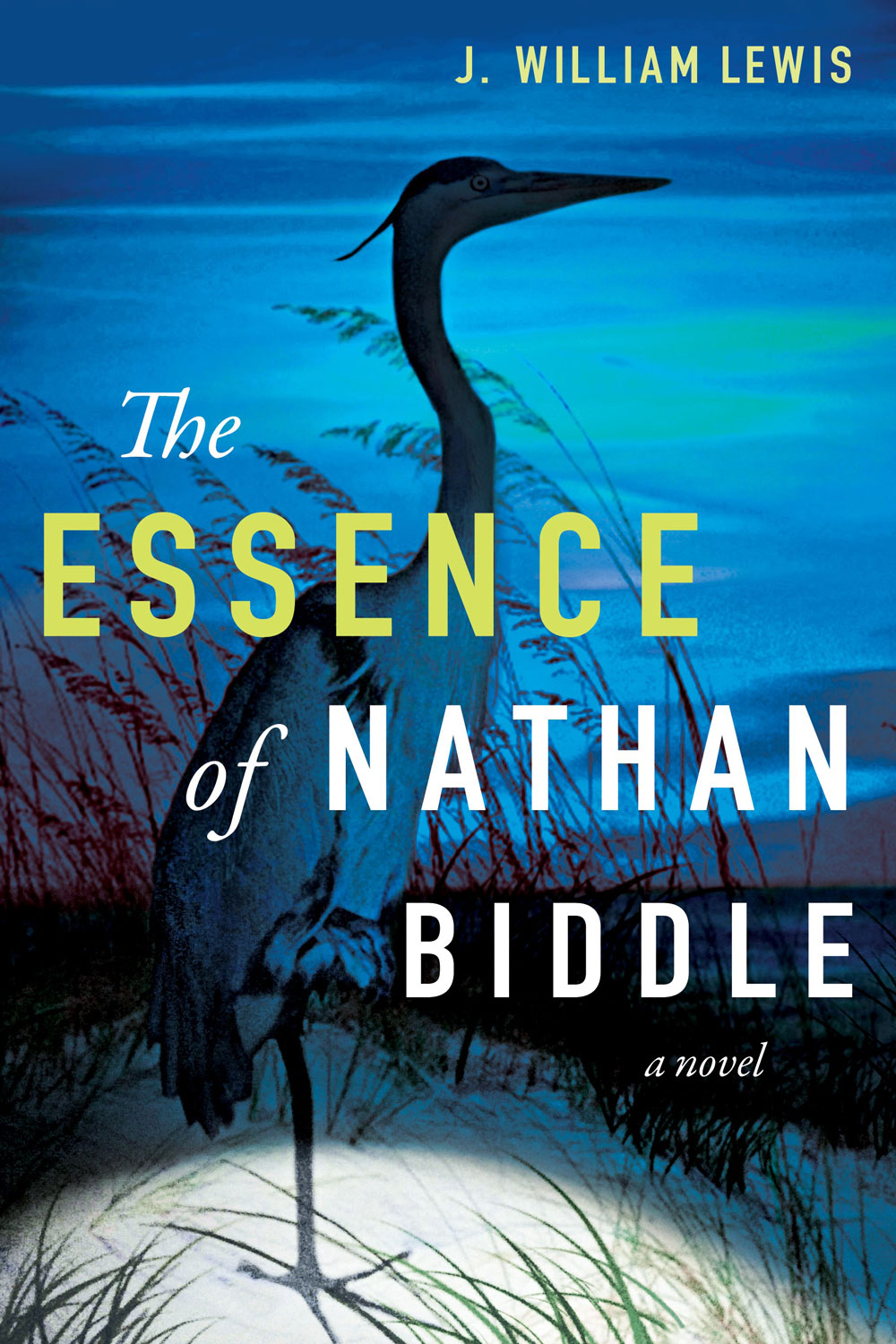 The Essence of Nathan Biddle