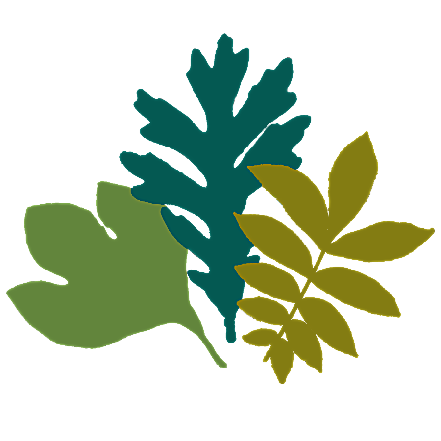 SIBA Anti-Racist Programming logo, three green leaves