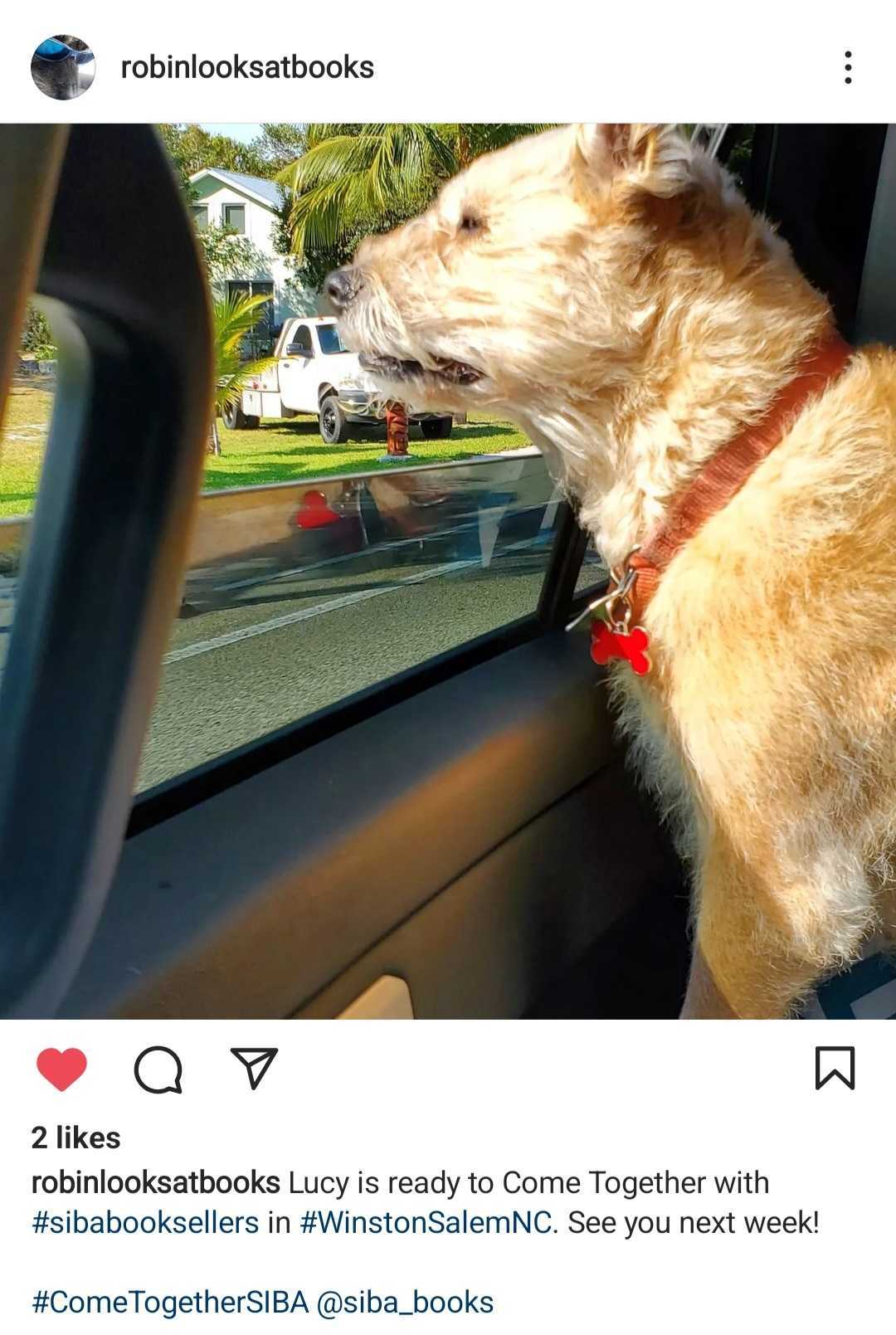 Robin's Instagram Post