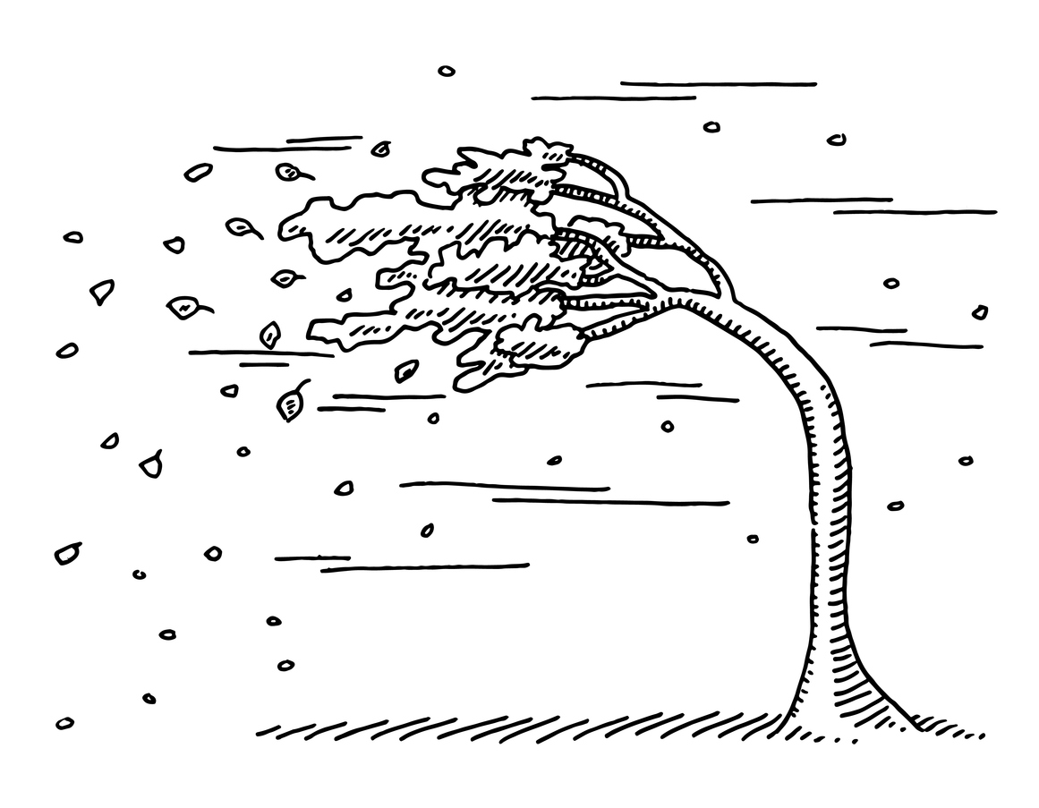 tree in the wind drawing
